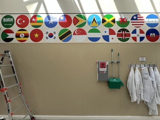 Vinyl Graphics (Wall & Door)